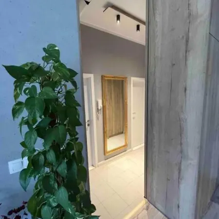 Cozy Apartment