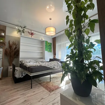 Apartment Cozy *